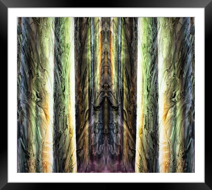 4 Forest Gods Framed Mounted Print by David Mccandlish