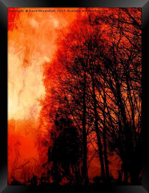 Red Forest Sunset Framed Print by David Mccandlish