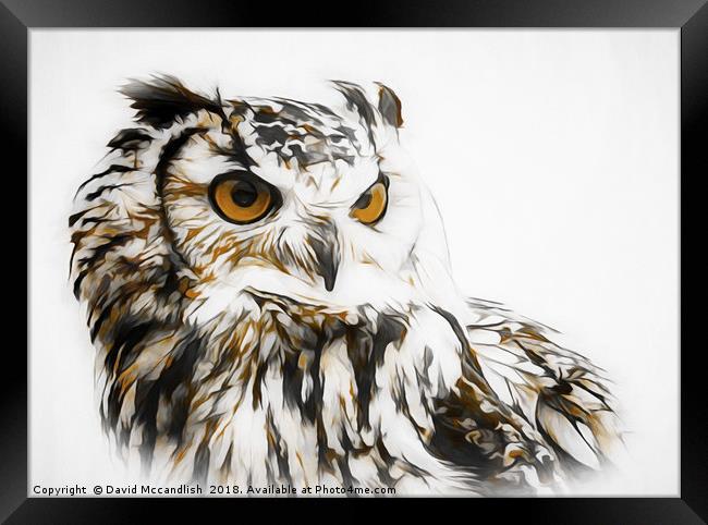 Eagle Owl Framed Print by David Mccandlish
