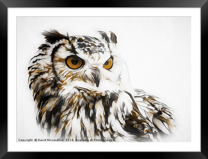 Eagle Owl Framed Mounted Print by David Mccandlish