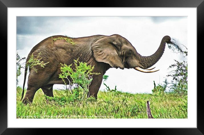 Elephant Earth Dousing Framed Mounted Print by David Mccandlish