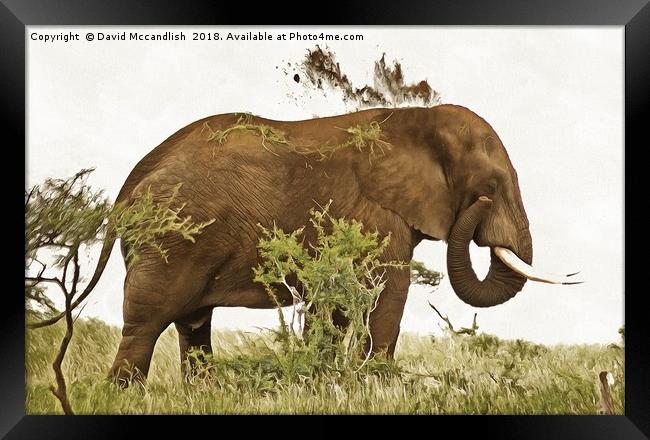 Elephant Earth Dousing Framed Print by David Mccandlish