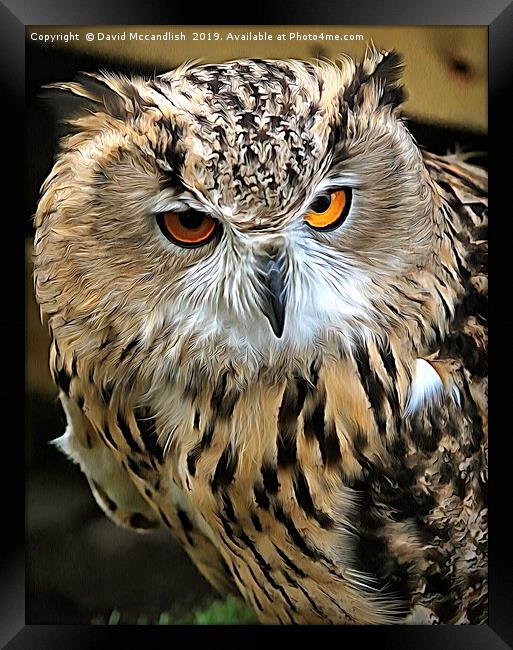 Eagle Owl European Framed Print by David Mccandlish