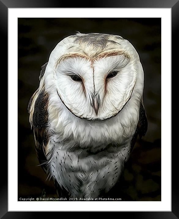 Sleepy Barn Owl Framed Mounted Print by David Mccandlish