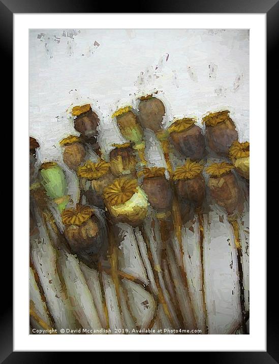        Poppy Heads and Seeds                       Framed Mounted Print by David Mccandlish