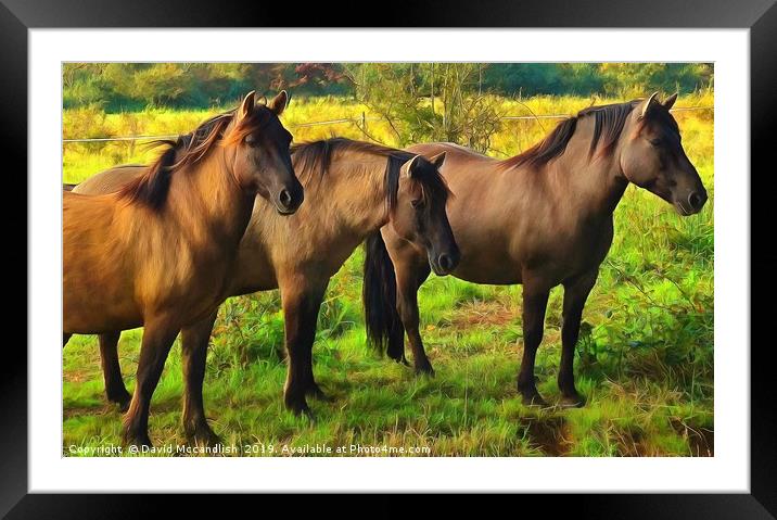 Welsh Mountain Ponies Framed Mounted Print by David Mccandlish