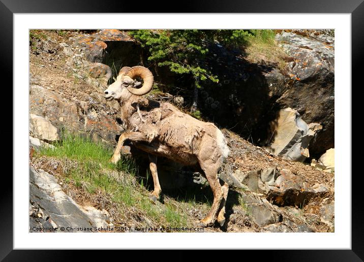 Climb up A Mountain Framed Mounted Print by Christiane Schulze