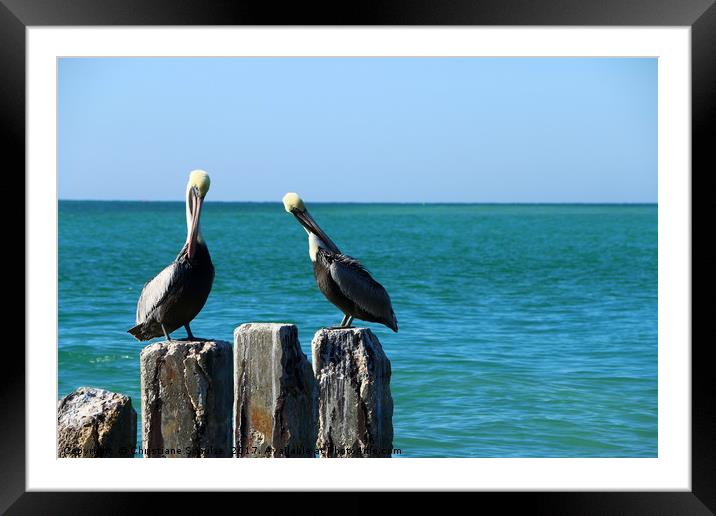 Two Old Guys On A Jetty Framed Mounted Print by Christiane Schulze