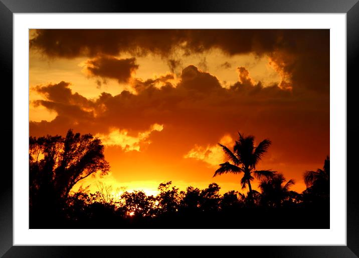 A Tropical Sunset  Framed Mounted Print by Christiane Schulze