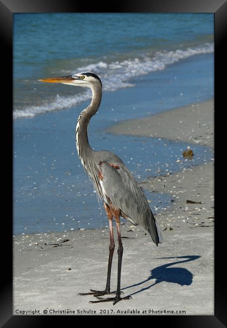 Living On A Beach Framed Print by Christiane Schulze