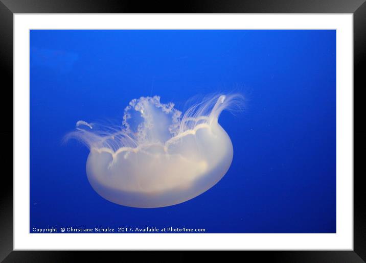 Moon Jelly Framed Mounted Print by Christiane Schulze