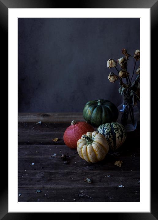 Decorative pumpkins Framed Mounted Print by Denitsa Karan