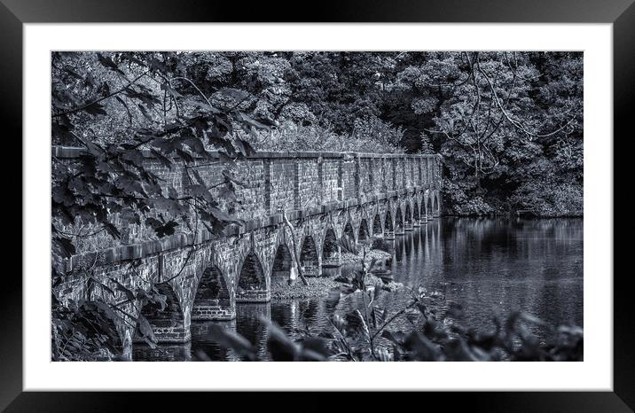 The nineteen arches at Carr Mill Dam St Helens Framed Mounted Print by Andrew George