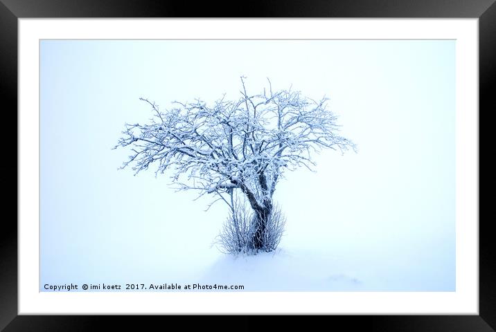 The snowy Tree Framed Mounted Print by imi koetz