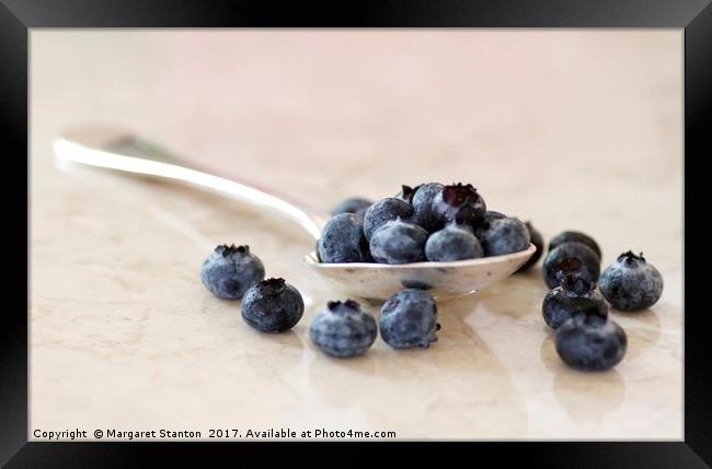 Fresh blueberries  Framed Print by Margaret Stanton