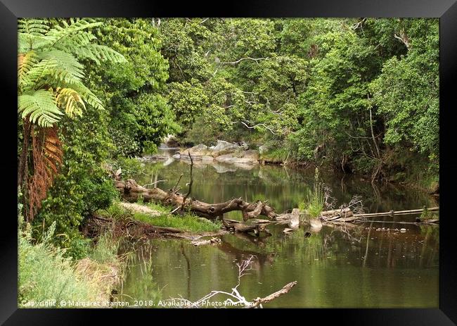 Broken River, Qld, Australia.  Framed Print by Margaret Stanton