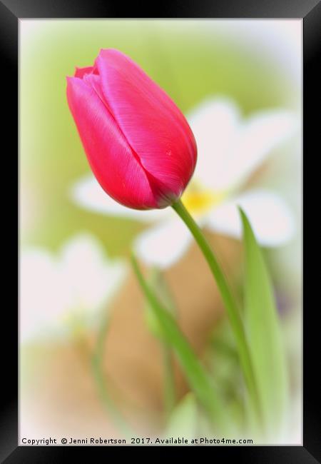 Pink Tulip Framed Print by Jenni Robertson