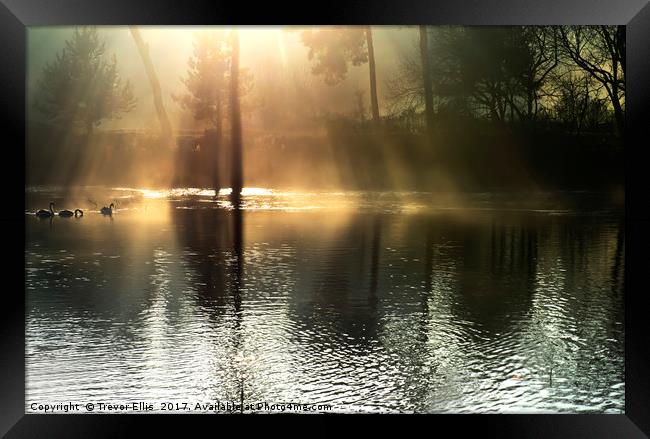 Early Light over Thornton Reservoir Framed Print by Trevor Ellis