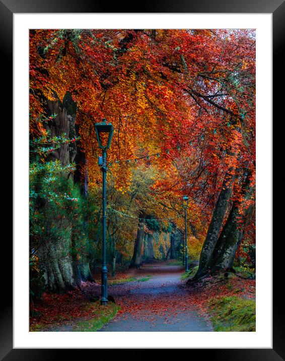 Ness Islands in Autumn Colour Framed Mounted Print by John Frid