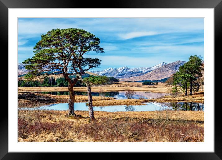 Trees at Loch Tulla Framed Mounted Print by John Frid
