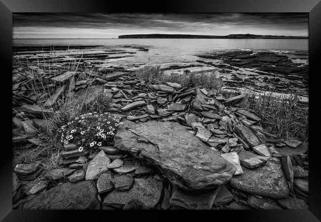 Castletown Beach North Scottish Highlands Framed Print by John Frid