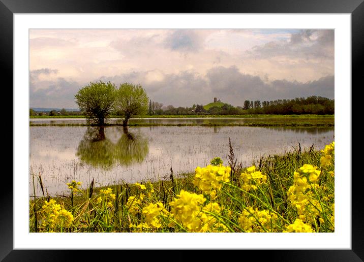 Flooded Somerset Levels Framed Mounted Print by Paul F Prestidge