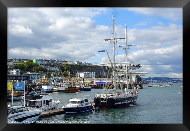 Majestic Royalist Sets Sail Framed Print by Paul F Prestidge