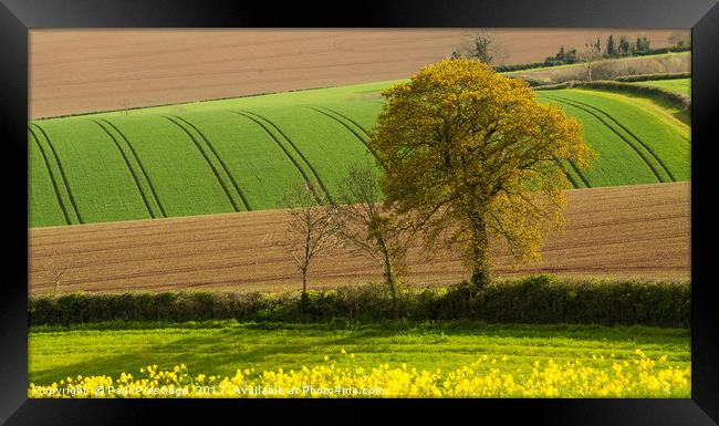 Devon Landscape near Exeter Framed Print by Paul F Prestidge