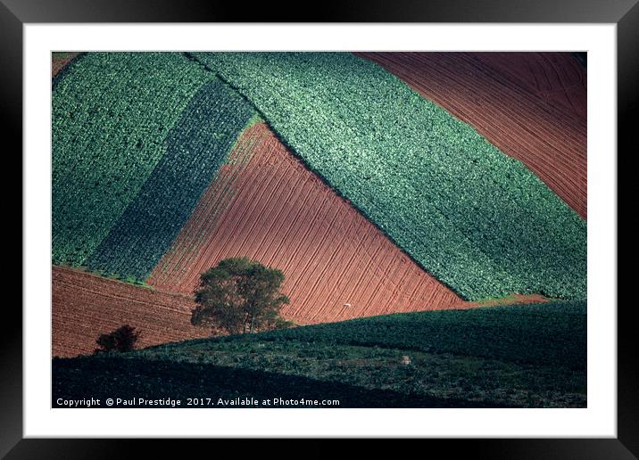 Field Pattern Landscape, Devon Framed Mounted Print by Paul F Prestidge