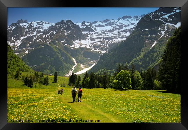 A scenic Walk through Swiss Alpine Beauty Framed Print by Paul F Prestidge