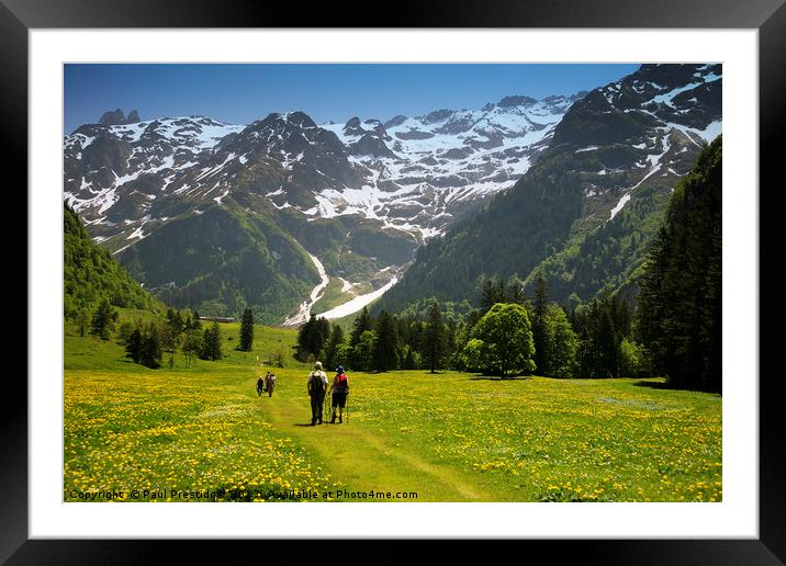 A scenic Walk through Swiss Alpine Beauty Framed Mounted Print by Paul F Prestidge