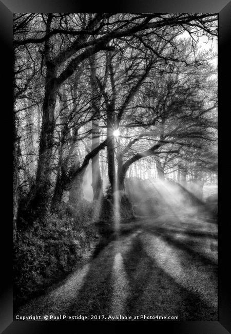 Shafts of Light in a Devon Lane Framed Print by Paul F Prestidge