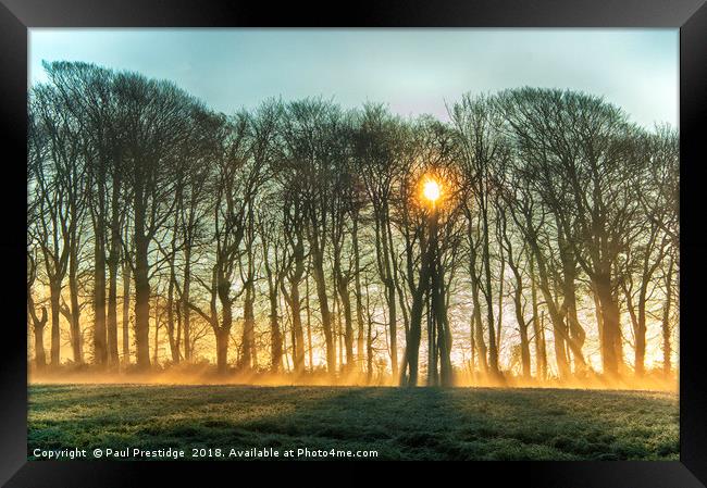 Winter Sun and Mist Framed Print by Paul F Prestidge