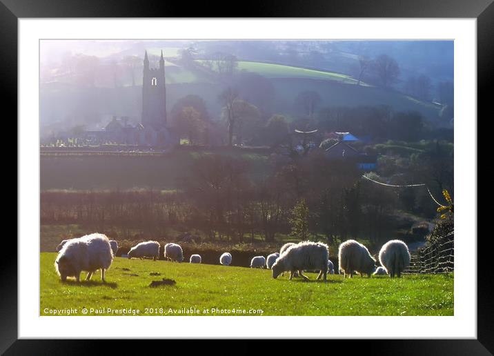 Sheep at Widecombe-in-the-Moor  Framed Mounted Print by Paul F Prestidge