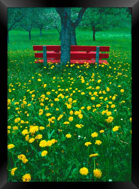 The Red Bench Framed Print by Paul F Prestidge