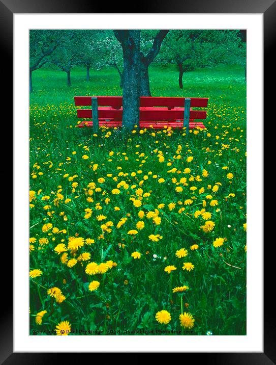 The Red Bench Framed Mounted Print by Paul F Prestidge