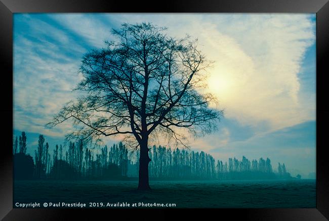 Trees in Winter, Derbyshire Framed Print by Paul F Prestidge