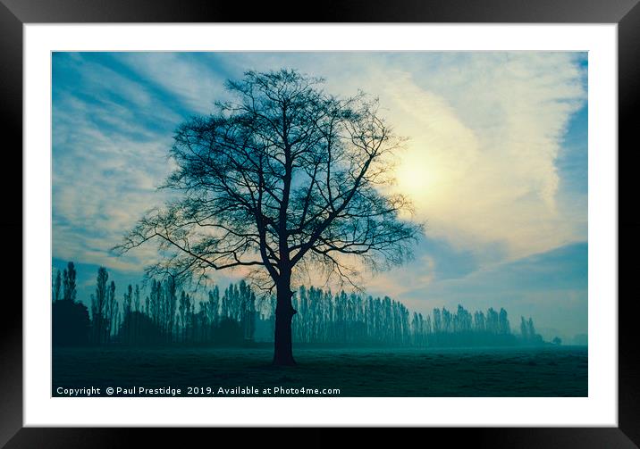 Trees in Winter, Derbyshire Framed Mounted Print by Paul F Prestidge