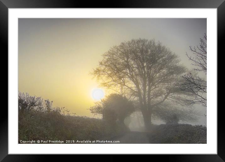 Misty Lane in Devon Framed Mounted Print by Paul F Prestidge