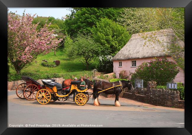 Horse and Carriages at Cockington Framed Print by Paul F Prestidge