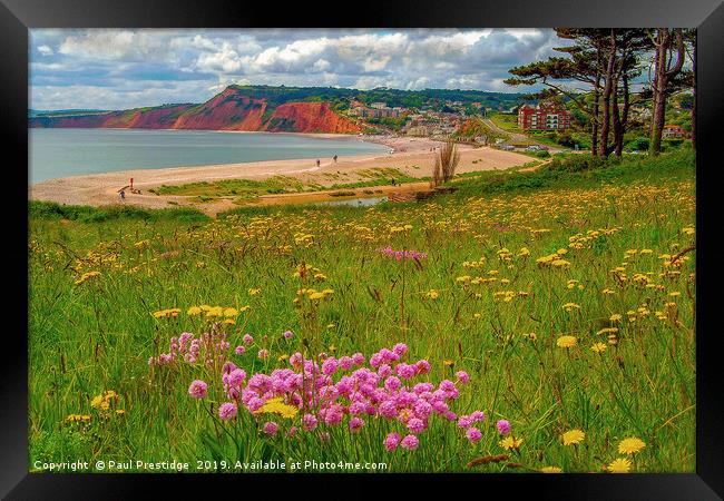 Budleigh Salterton Beach Framed Print by Paul F Prestidge