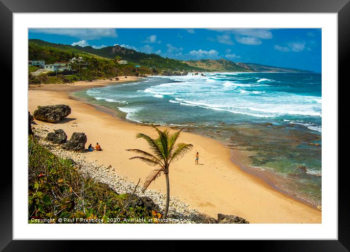 Bathsheba Beach, Barbados Framed Mounted Print by Paul F Prestidge