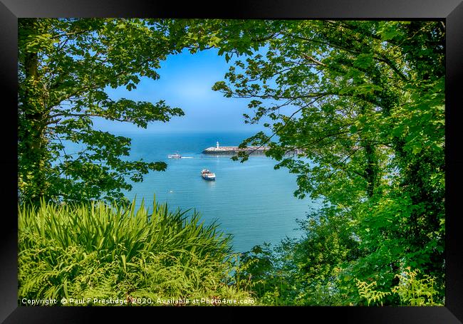 A Torbay Peephole Framed Print by Paul F Prestidge