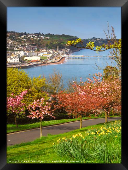 Teignmouth from Shaldon Framed Print by Paul F Prestidge