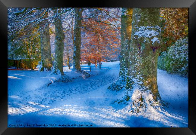 December Snow near Totnes Framed Print by Paul F Prestidge