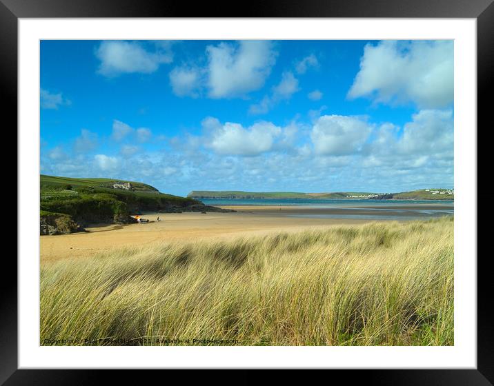 Harbour Cove, Camel Estuary, Padstow Framed Mounted Print by Paul F Prestidge