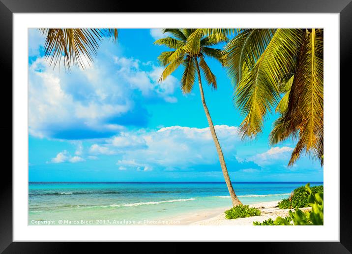 Caribbean nature Framed Mounted Print by Marco Bicci