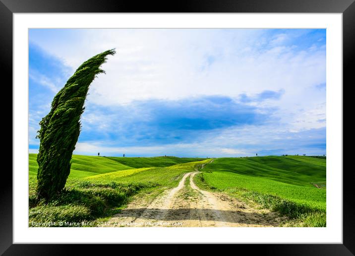 Tuscany dirt road Framed Mounted Print by Marco Bicci