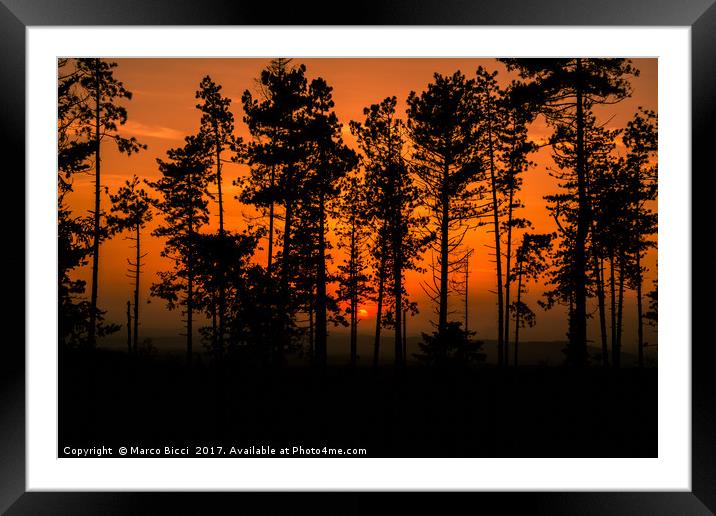 Sunset in the woods Framed Mounted Print by Marco Bicci
