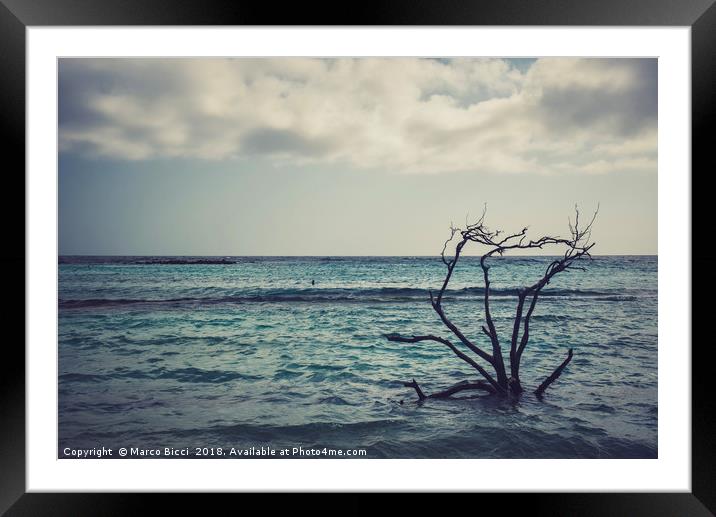Dried branches emerge from the Carribean sea of Ar Framed Mounted Print by Marco Bicci